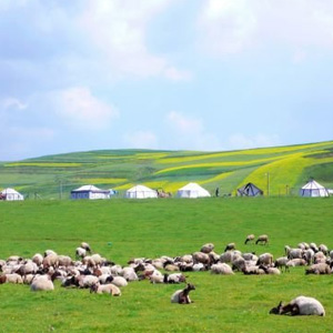 甘南藏族自治州