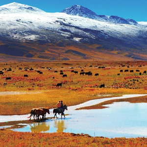 甘孜藏族自治州