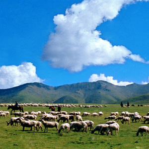 海北藏族自治州